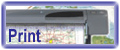 Large Format Printing Services