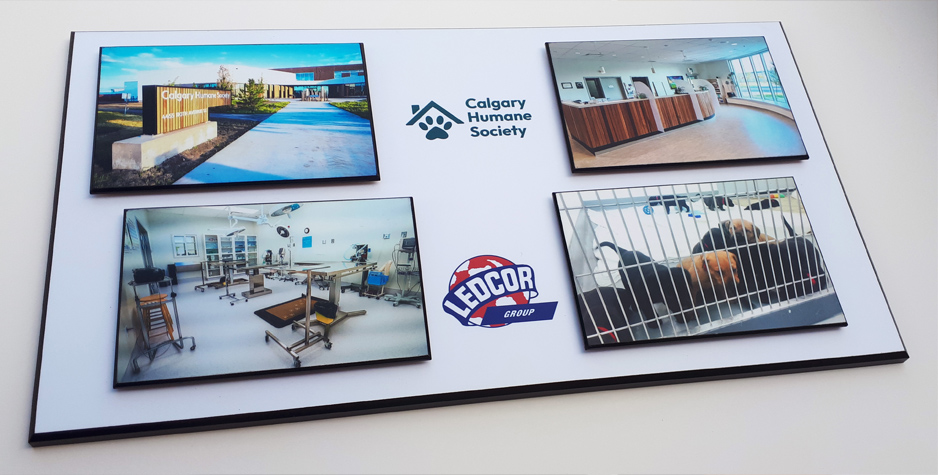 Creative Graphic Design and Concepts | Digital Projections Creative Graphic Design and Concepts | Digital Projections