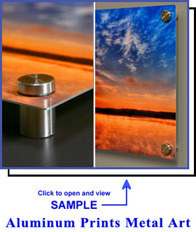 Aluminum Print Metal Art