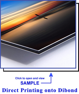 Direct Printing onto Dibond