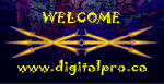 digitalpro.ca Welcome Banner
